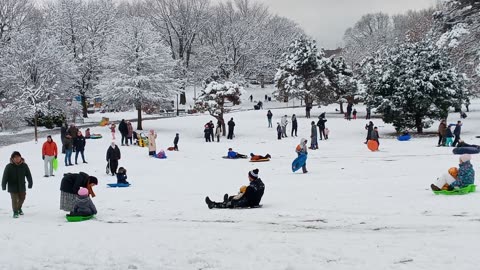 Snow Day at Owl's Head Park