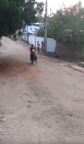 A Wheelie Disaster!!