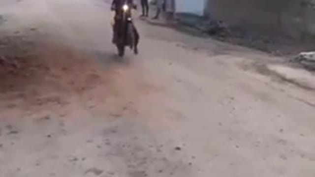 A Wheelie Disaster!!