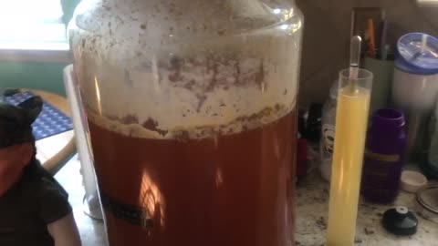 Blanca’s Ale2023 Kegging