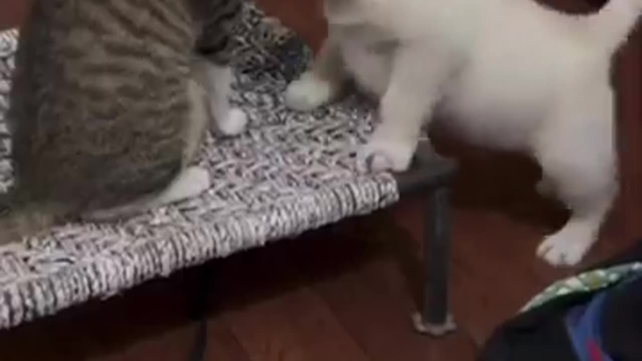 Funny 😂 video
