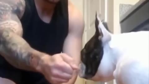 Funny animals 🤣 video