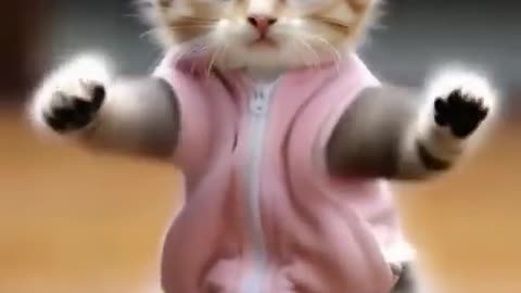 so funny cat videos 🤣📷 #cat #catlover #funnycat #shortvideo #shortsfeed #shorts #shortsvideo