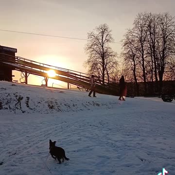 Miera karalistes karalim