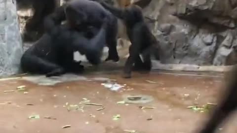 😂😂😂