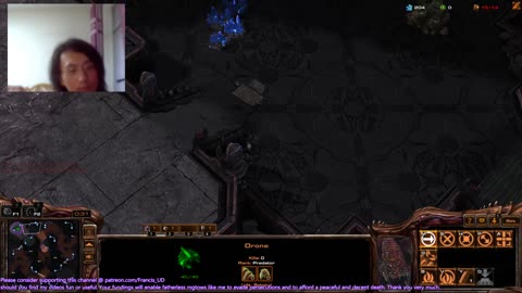 starcraft2 zvp on neohumanity got mauled by zealots rush..