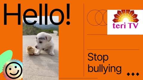 Stop bullying others now