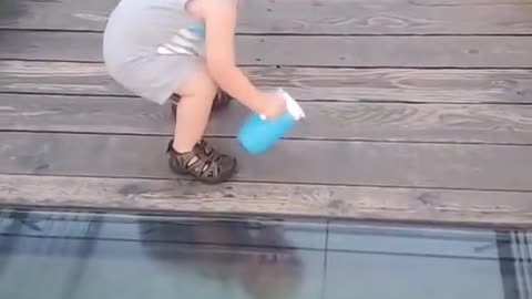 toddler attempt to cross glass bridge alone