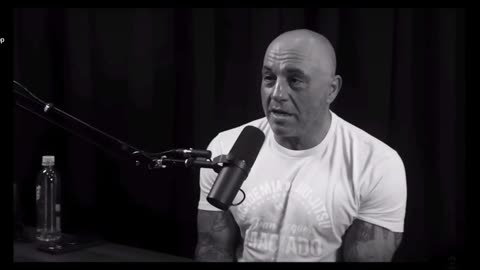 Relationship advice from Joe Rogan