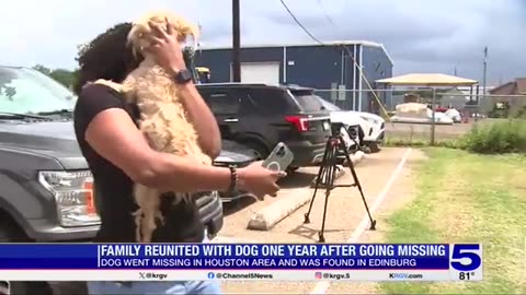 Houston family reunited with dog