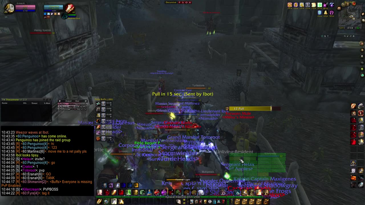 Turtle wow - PUG Dark Reaver - world boss - Paladin POV