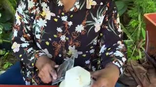 Coconut Cutting Skills _shorts-UnWUKS90OM4