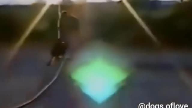 Funny Dog | dog throwing too much water on its owner