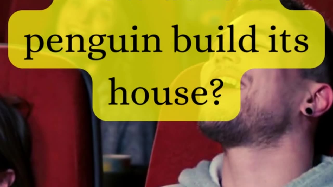 How does a penguin build its house?