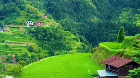 only the universe could create such a nature 😍.