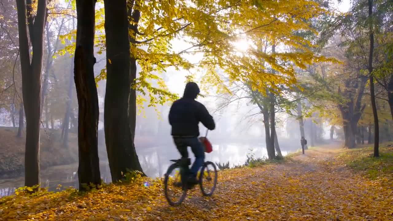 Enchanting Autumn Forests with Beautiful Piano Music