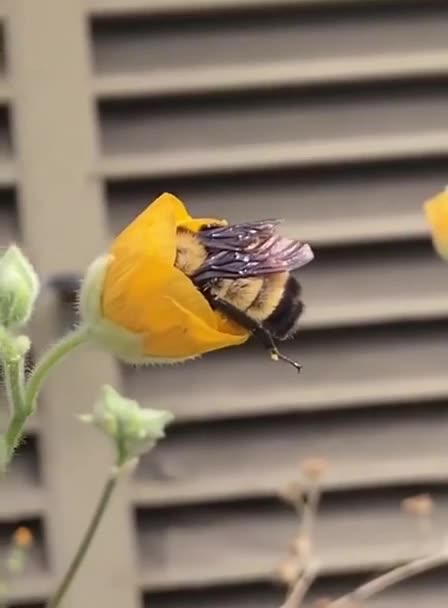 Nice place to take a nap 😍😍