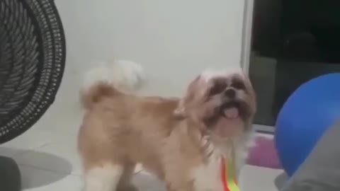I'm playing ball #Thank you for your attention