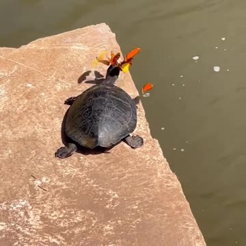 Cute best friends😂