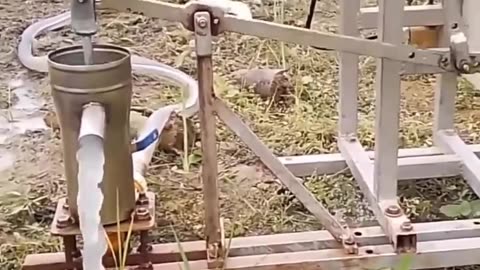 CRC vídeos curiosos