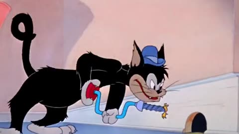 Tom and Jerry cartons network video please sapot