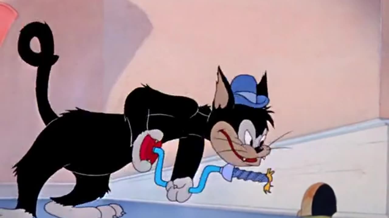 Tom and Jerry cartons network video please sapot