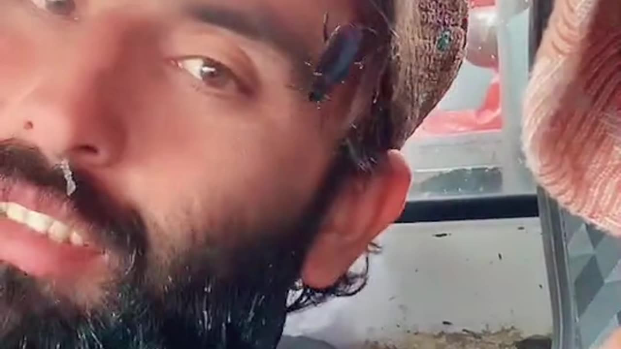 Funny videos