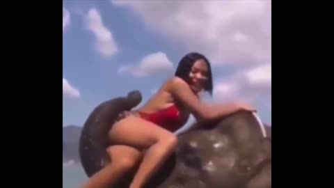 Elephant has had enough of people climbing all over it