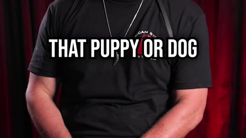 When You Shouldn’t Bring a New Dog or Puppy Into Your House