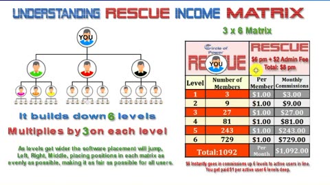 Rescue Income Matrix Tutorial