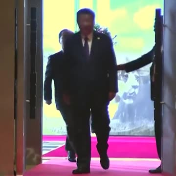 Chinese President Xi Jinpings Guards Stopped By South African Officers