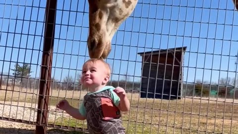 Viral