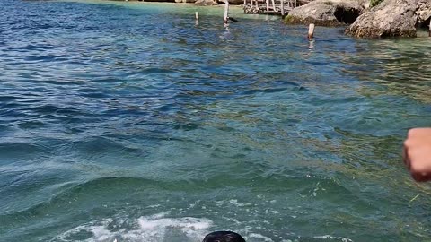Time for a swim in the ocean and a lot of vitamin sea!
