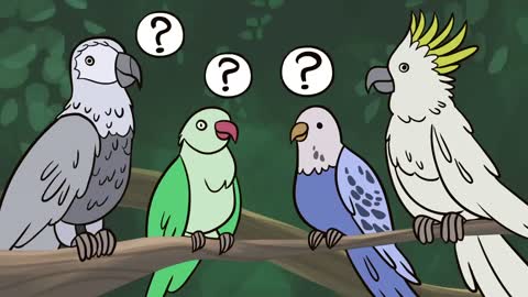 Why can parrots talk- - Grace Smith-Vidaurre and Tim Wrightp3