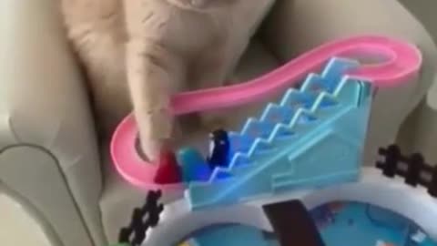 Funny and cute Animals 😹 | Part 1