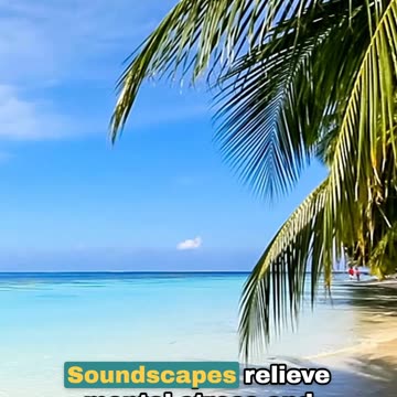 Has Environmental Sounds Calm You? - It's World Listening Day🌎