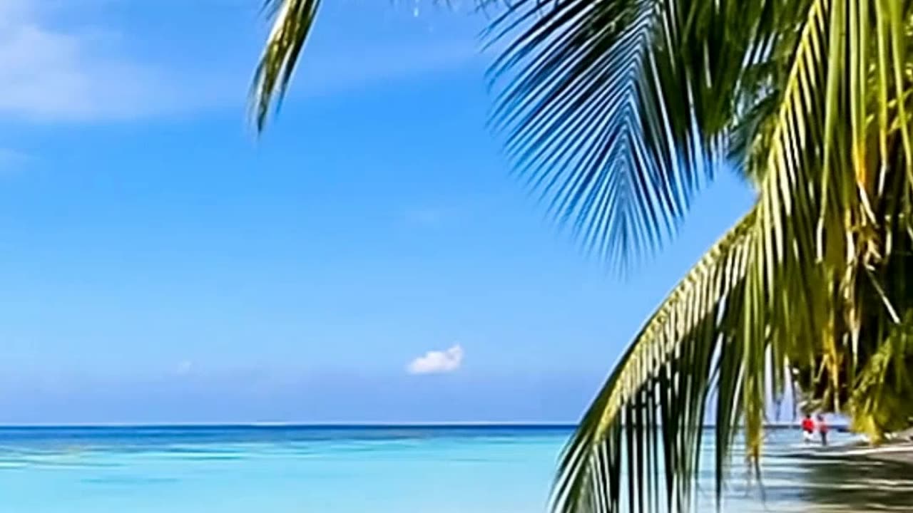 Has Environmental Sounds Calm You? - It's World Listening Day🌎