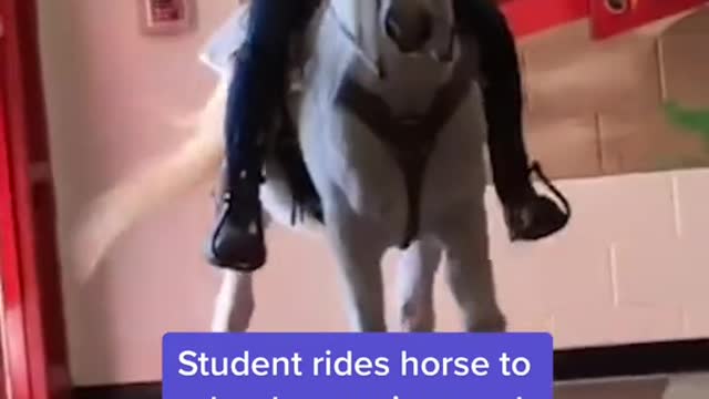 Student rides horse to school as senior prank