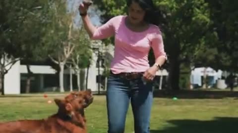 DOG 🐕 WITH GIRL FUNNY 🙂 Video 😂📸