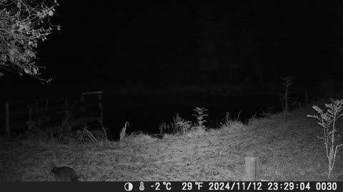 Teich121124