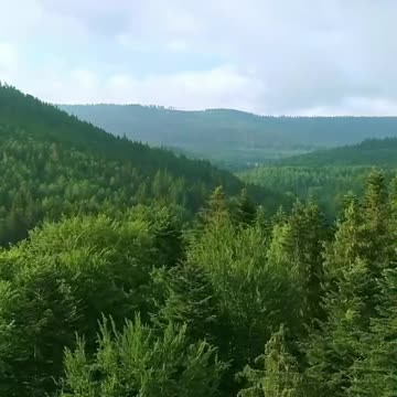 Se ognuno facesse il meglio nel suo piccolo, questo piccolo