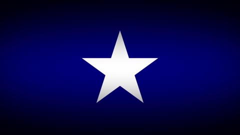 Bonnie Blue Flag