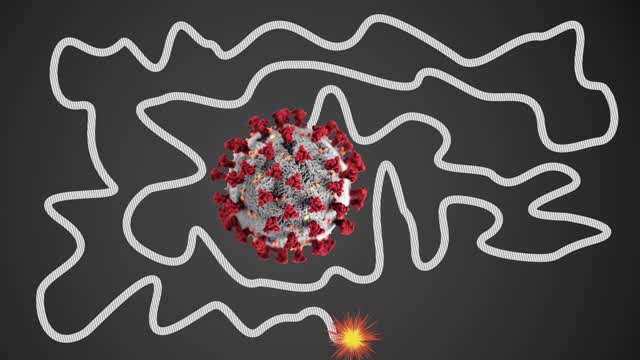 1 Minute Timer BOMB 💣 [CORONAVIRUS] 💥