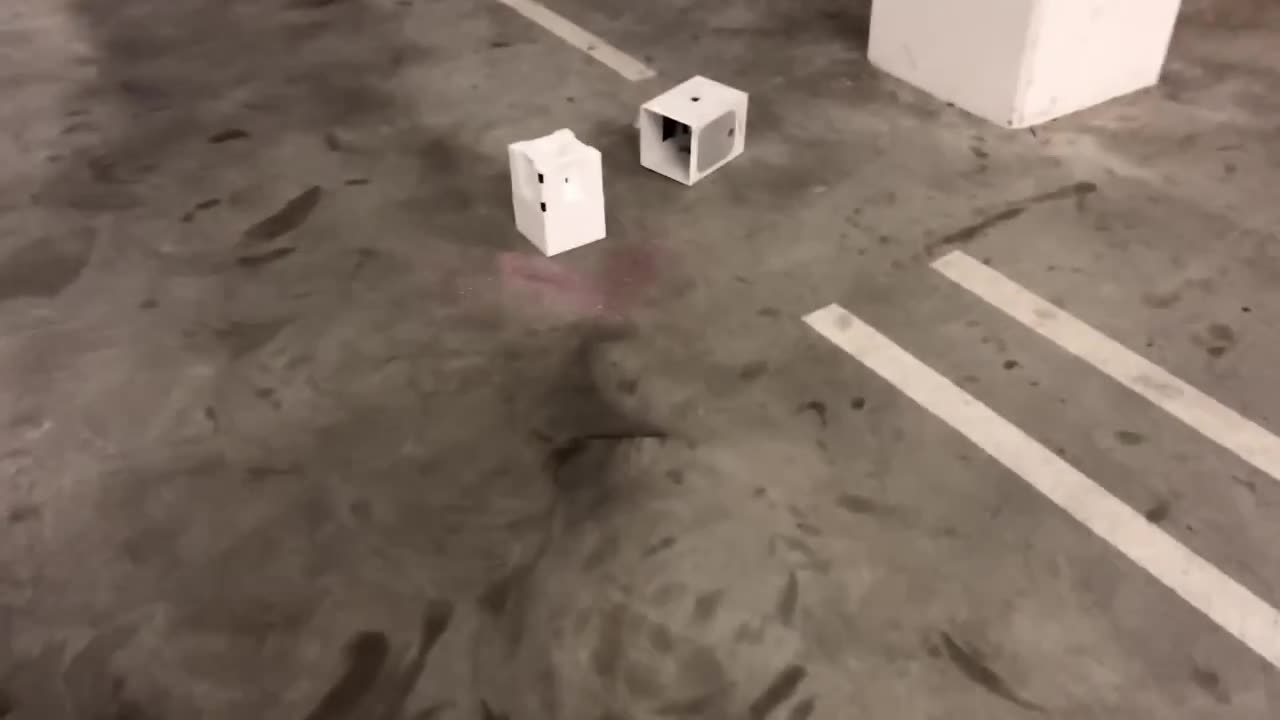 package robbers