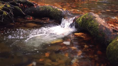 Gurgling Water - Helps Mind Relax, Lullaby & Meditation | Relaxation Music