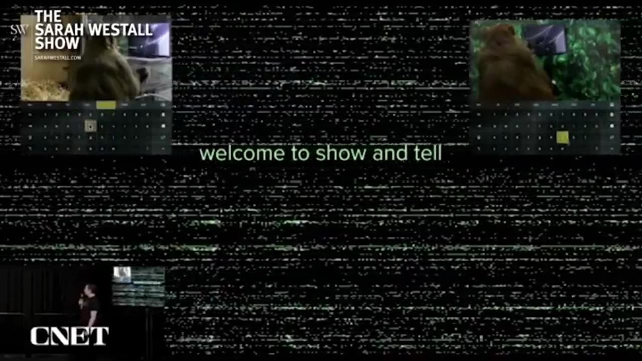 Neurowarfare: The Brain is the Battlefield – 2023 False Flags Conference