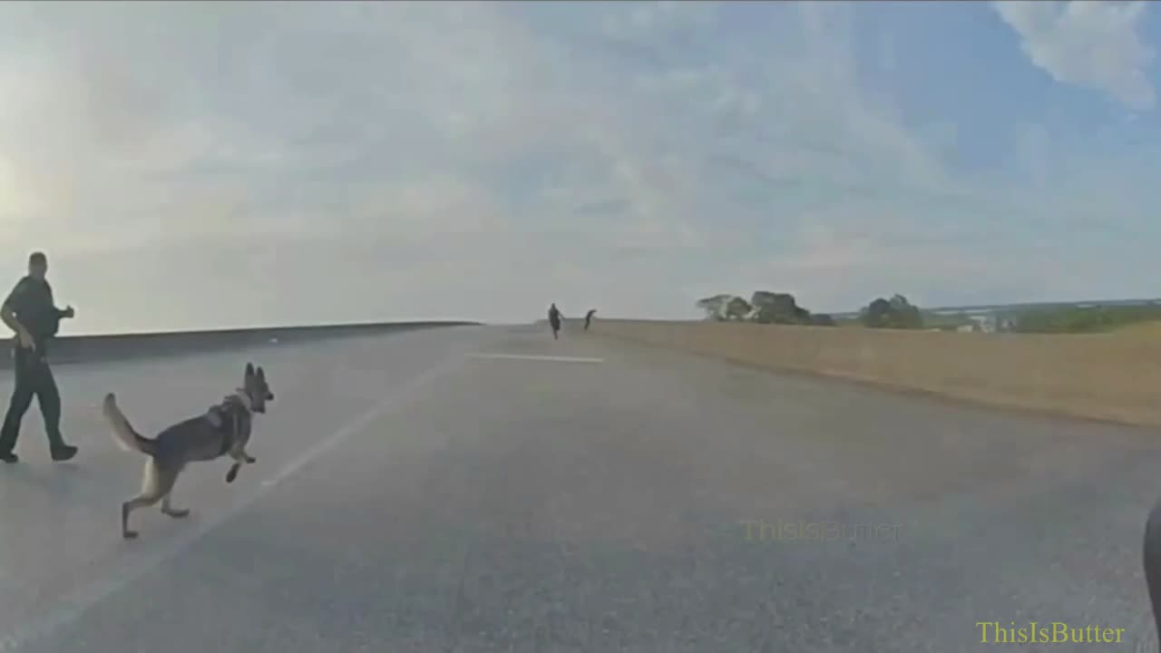 Dashcam video shows Escambia County pursuit, PIT maneuver, bridge jumpers and K9 recovery