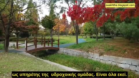 Η Μαγεία και το Παγκόσμιο Οικονομικό Φόρουμ!