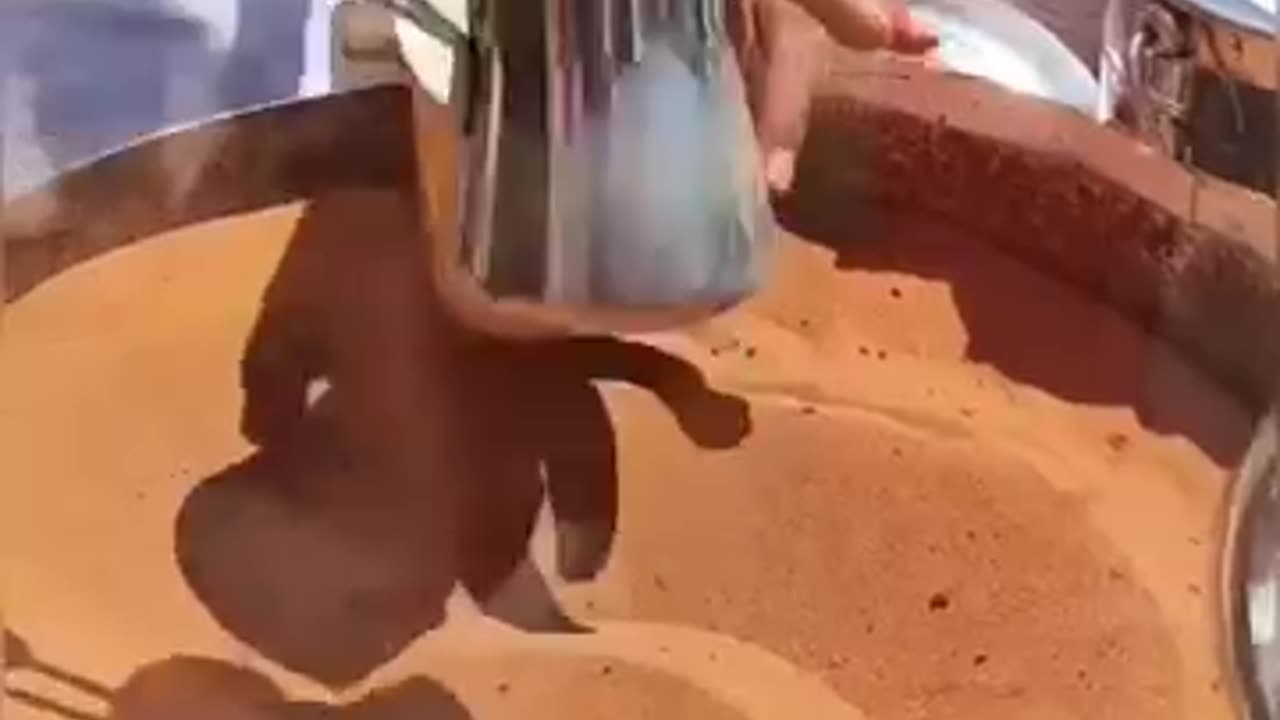 Most popular videos