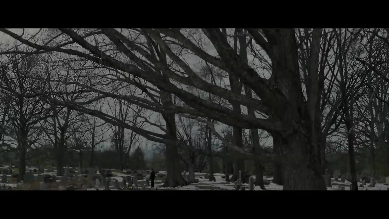 Spiderman new trailer